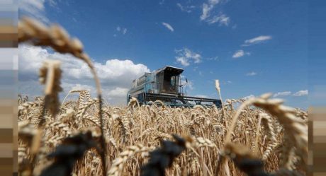 Putin dispuesto a permitir exportación de granos