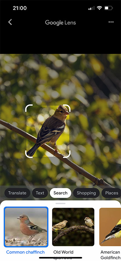 Aplicaciones de Fotografía para teléfonos inteligentes