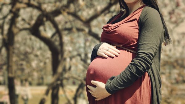 mayoristas de ropa de maternidad