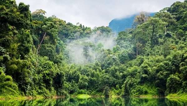 Selva Amazonica